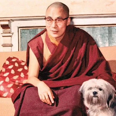 Tibet's spiritual leader the Dalai Lama escapes Communist China control by fleeing to India.