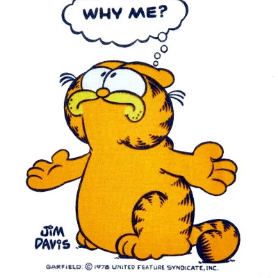 The comic strip Garfield debuts in national syndication. Created by Jim Davis, the strip continues to run today, along with animated TV specials and merchandising.